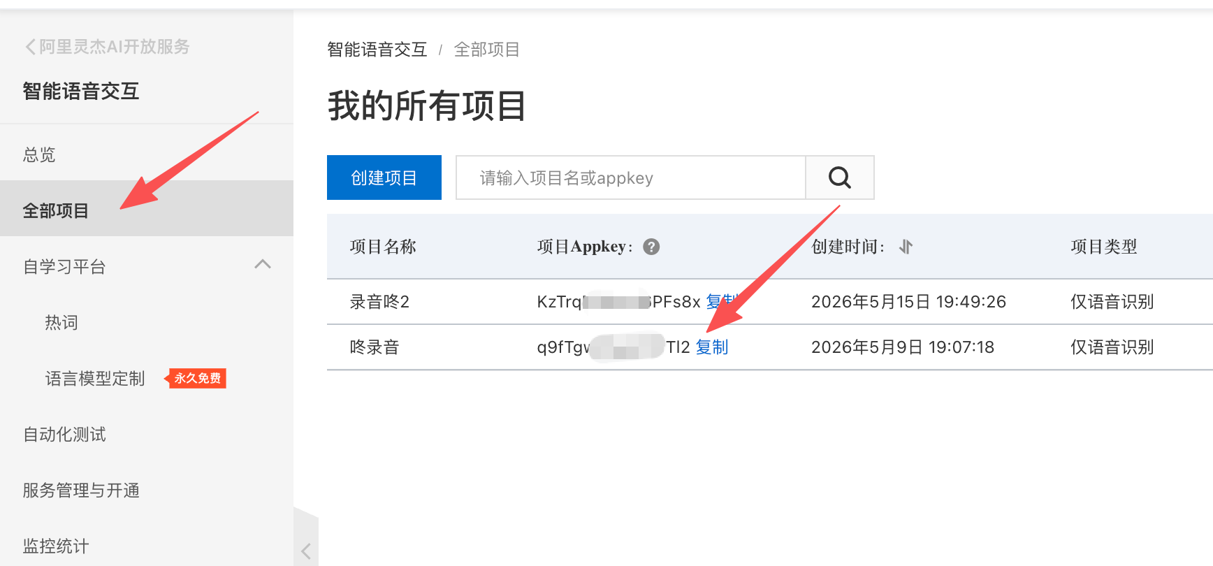 NLS创建项目表单